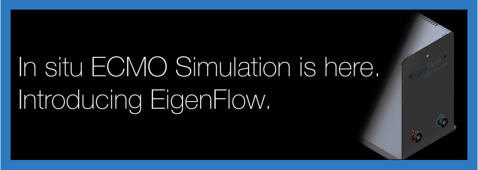 ECMO simulator