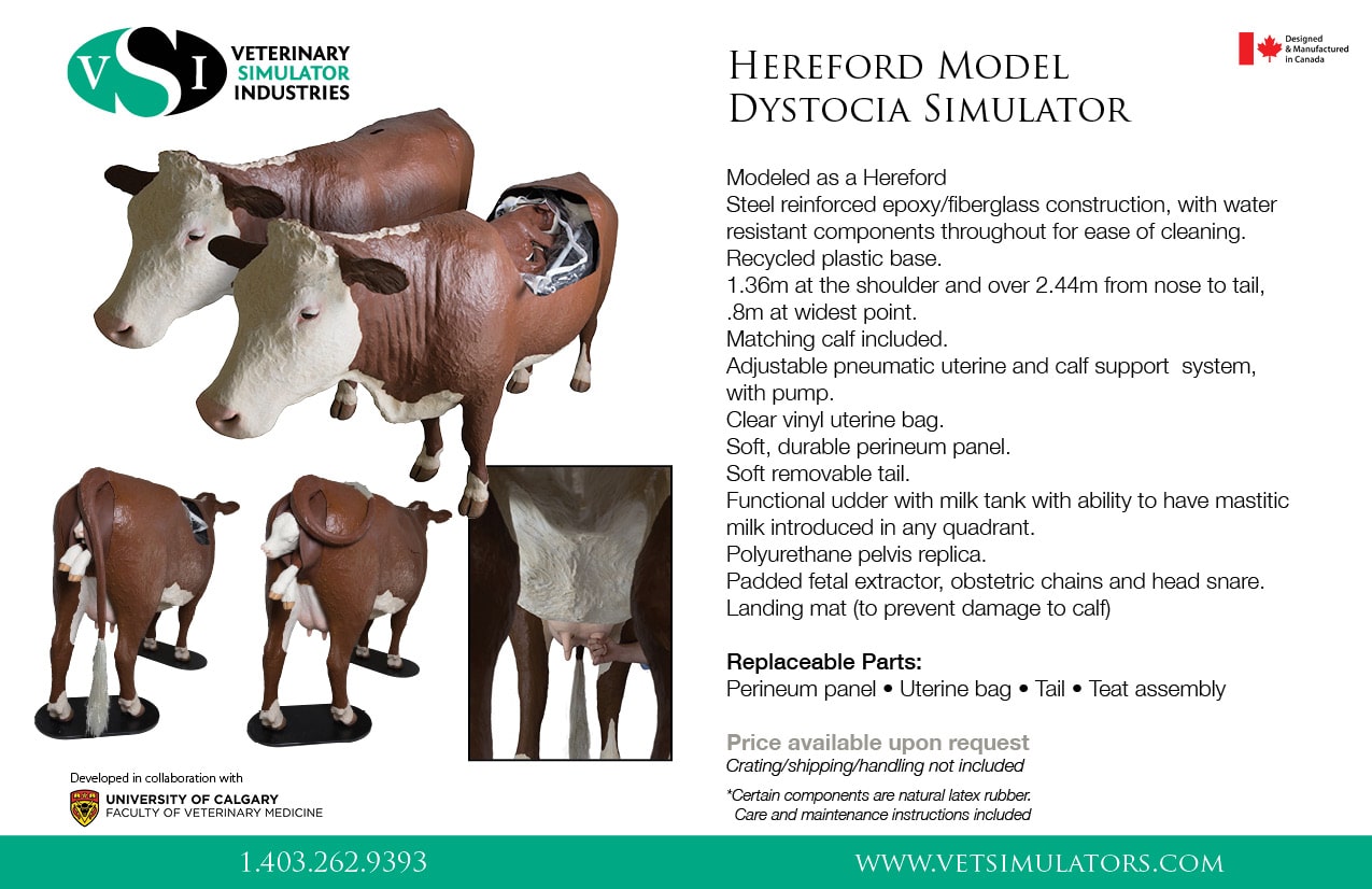 hereford birthing simulator