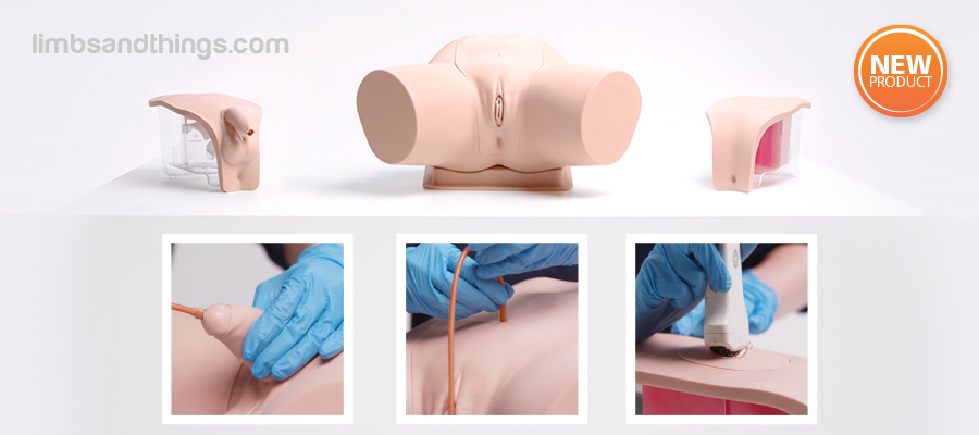 How Urinary Catheterization Trainers Can Save 13,000 Patients a Year