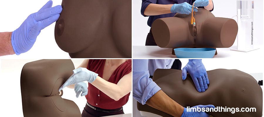 Transcending Racial Disparity in Healthcare Simulation Education with Limbs & Things