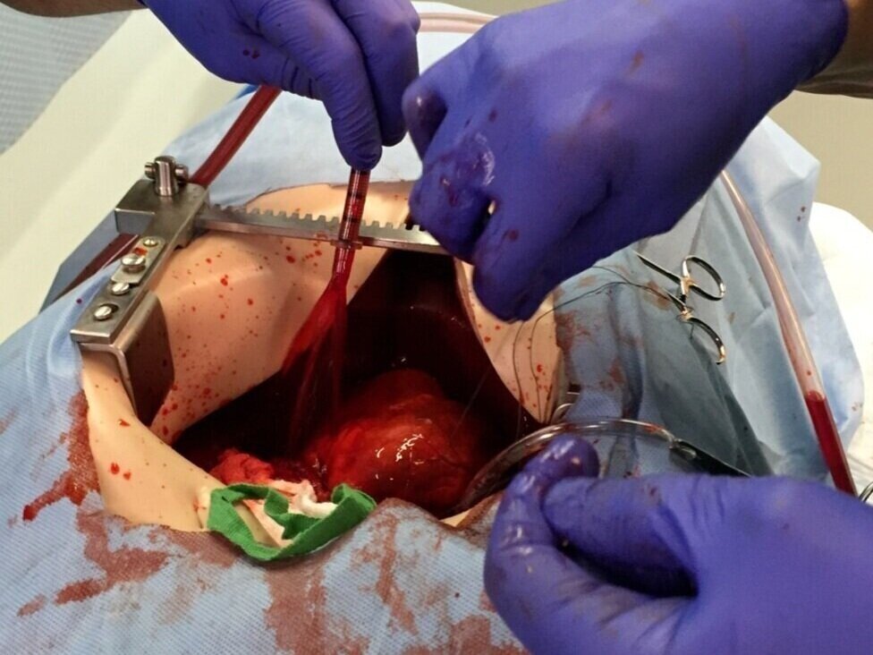 *NEW* Surgical Simulators Expand Modern Surgery Intervention Training