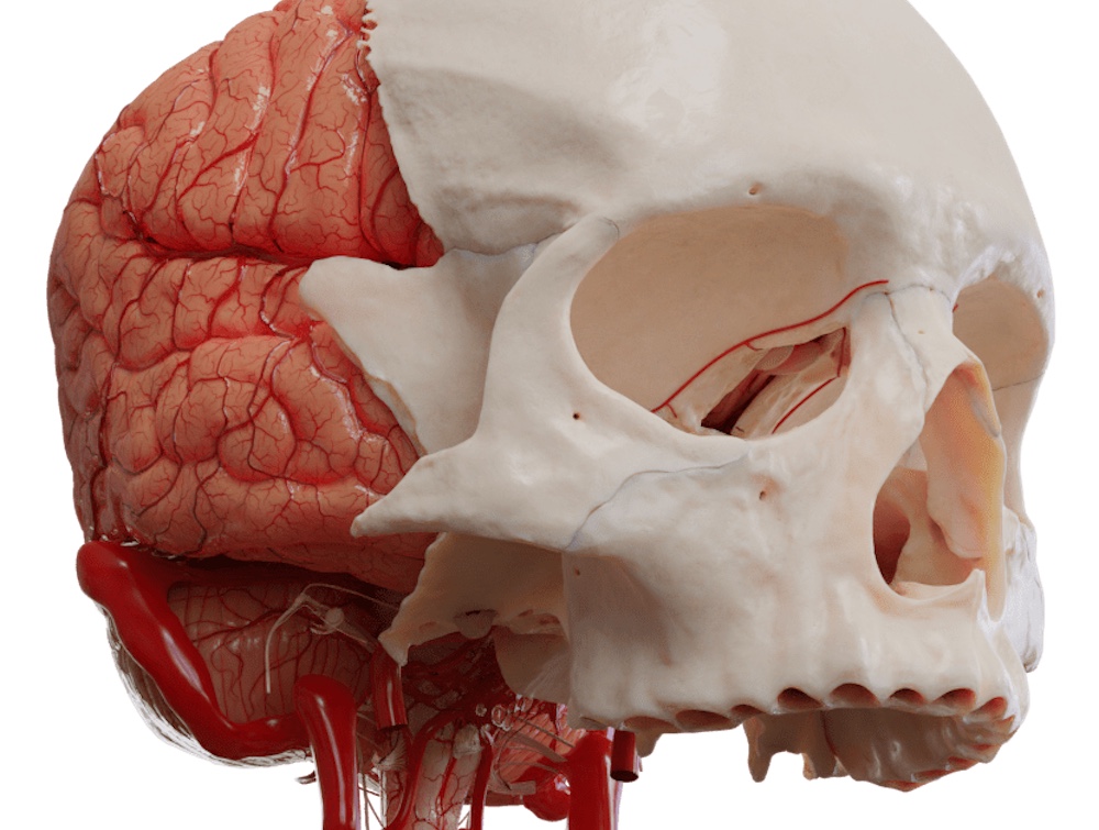 UpSurgeOn Academy Revolutionizes Neuroanatomy & Neurosurgery Learning