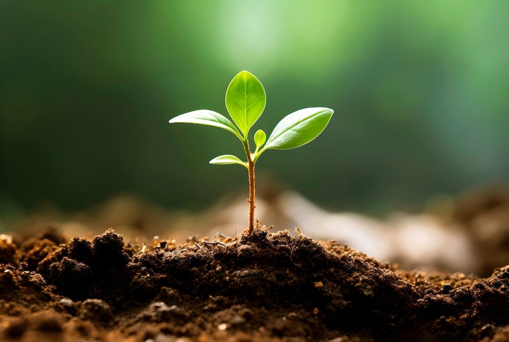 How Can Clinical Simulation Promote Growth Mindset Over Fixed Mindset?