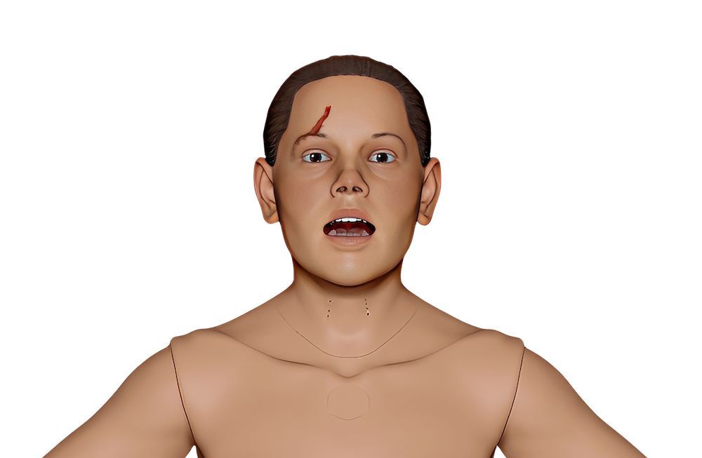Bridging the EMS System Trauma Simulation Gap with Culture Over Technology