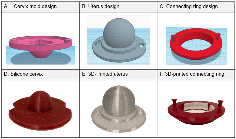 Assessment of a Novel 3D-Printed Gynecological Task Trainer to Advance Medical Education Through Simulation