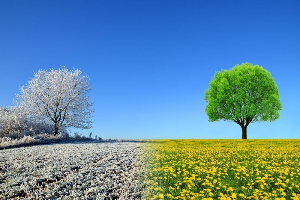 How to Create a Seasonal Curriculum Plan for Healthcare Simulation