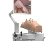 Surgical Simulators