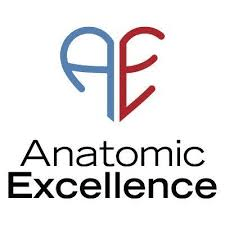 Anatomic Excellence