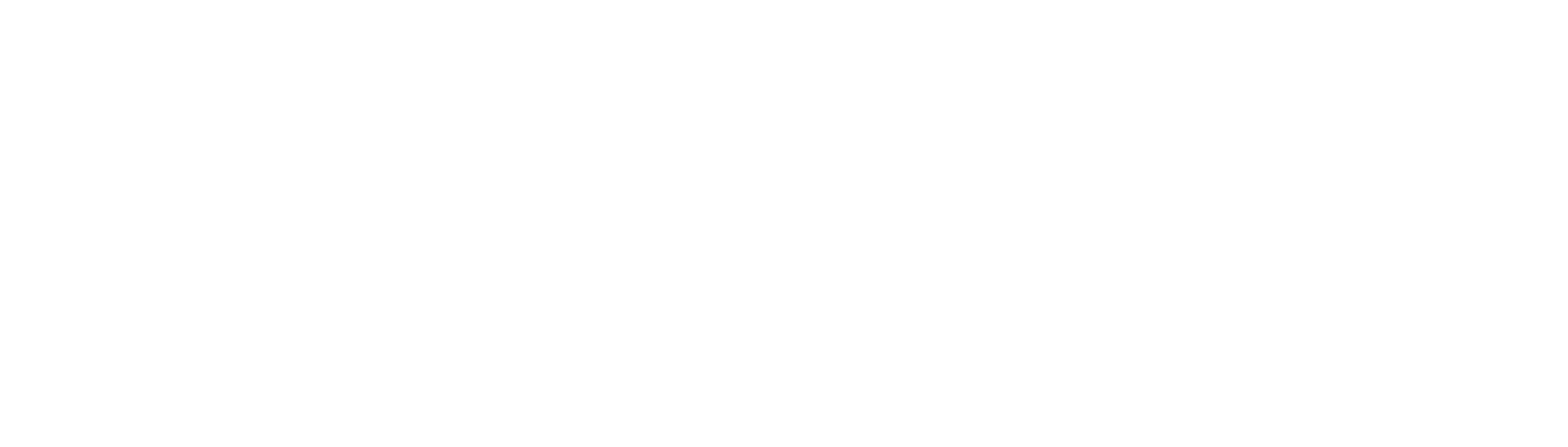 echo_logo