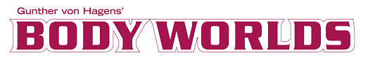echo_logo