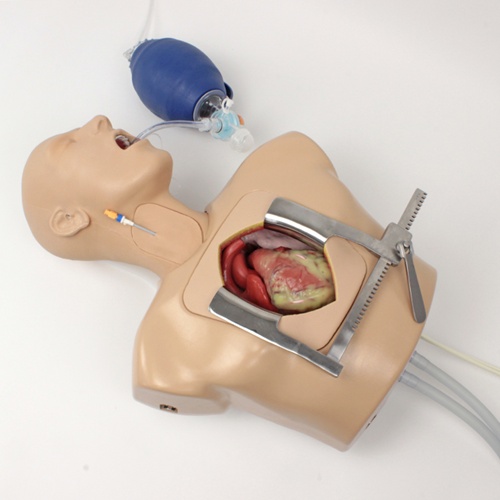 874 C Perfusion Beating Heart Trainer REDESIGN 20181220  0024adj2