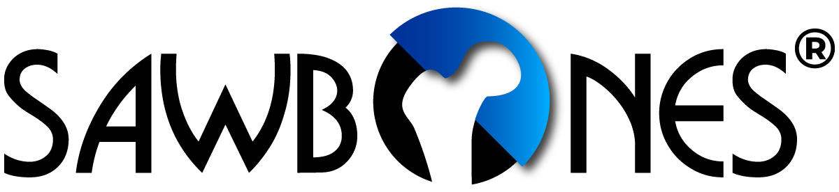 echo_logo