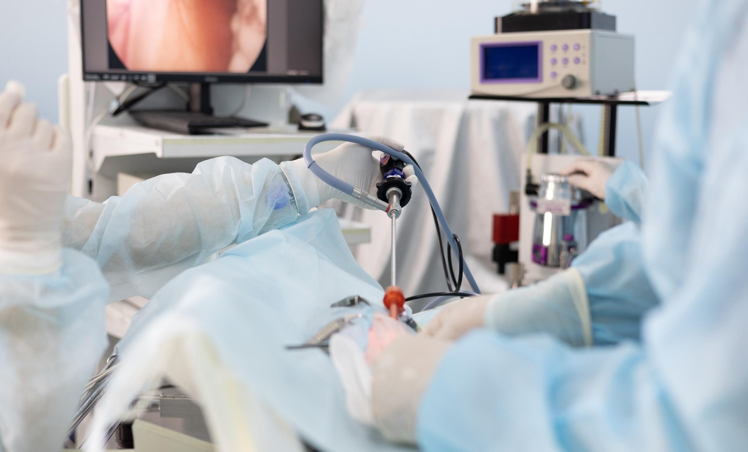 Endoscopy Simulator