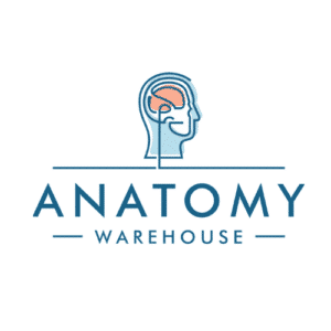 Profile photo of Anatomy Warehouse