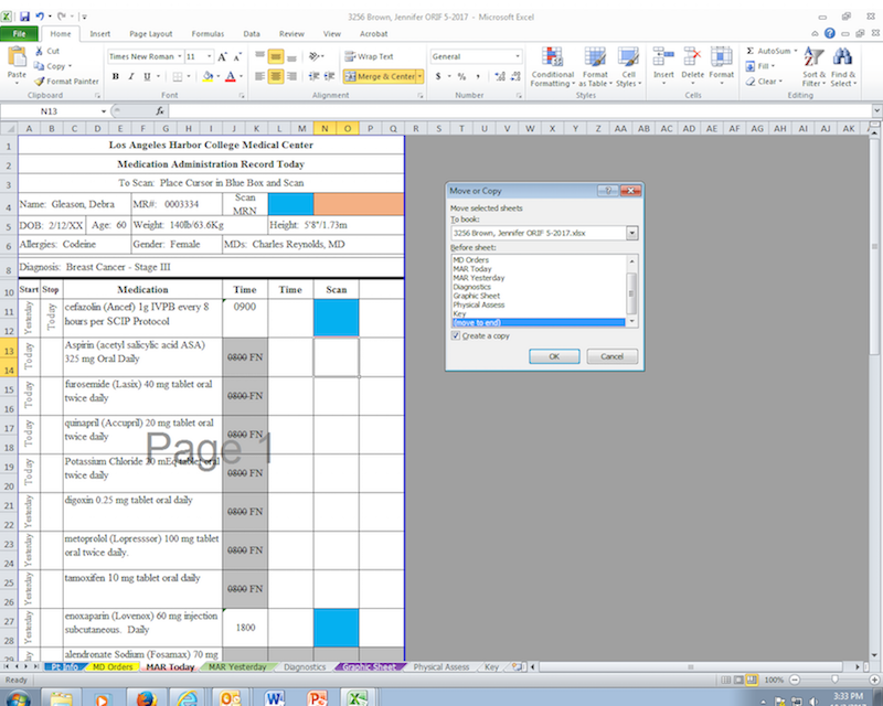 Building Healthcare Simulation Documents Using Excel – Tips and Tricks
