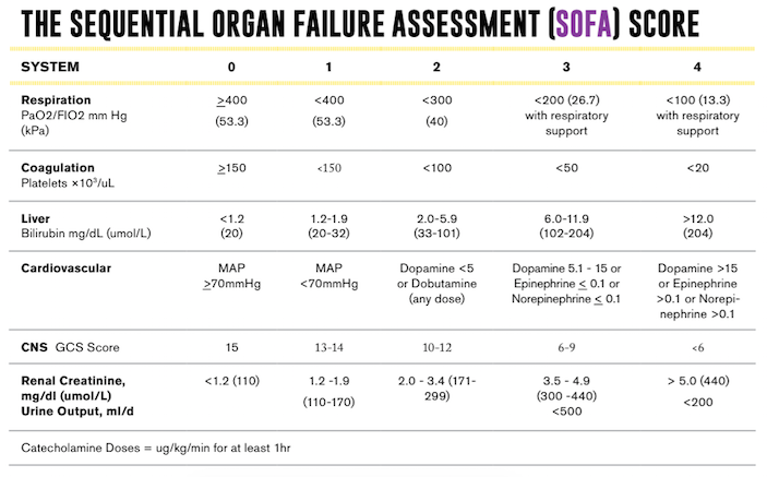 Celebrating World Sepsis Day: Understanding Lab and Vital Sign Indicators for Simulated Sepsis Scenarios